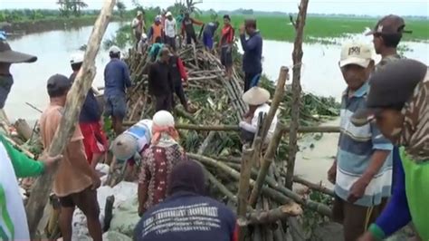 Sungai Bengawan Solo Meluap Tanggul Di Bojonegoro Jebol