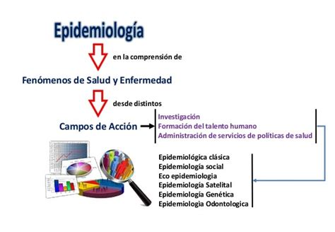 Campos De Aplicacion De La Epidemiologia En Salud Publica Otosection