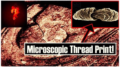 15 Million Year Old Shoe Print Found In Lump Of Coal ⛏️ Youtube