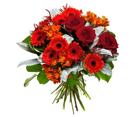 K Bouquets Gerberas Roses Chrysanthemums White Background Red