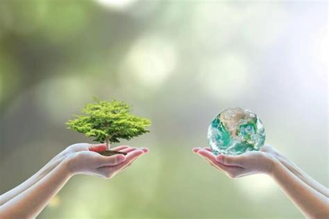O Que E Meio Ambiente - Meio Ambiente: o que é, importância e como preservar? - FIA