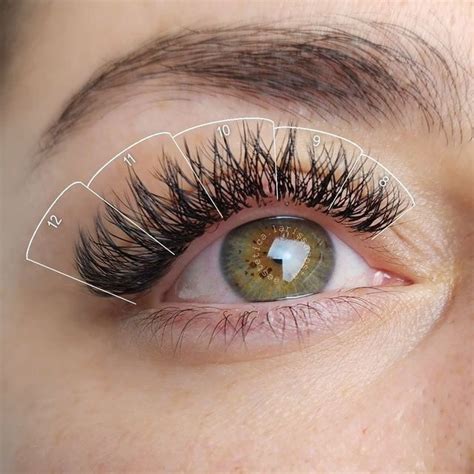 Top Lashes And Lashmakers On Instagram SAVE IT Mapping Curl D