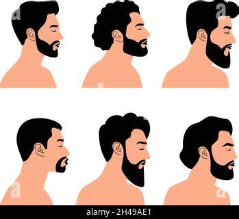 Set Of Men Hairstyles With Beards And Mustache Gentleman Haircuts And