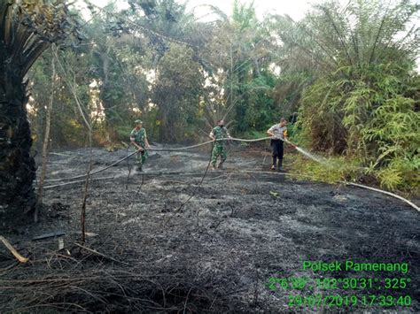 Diduga Buang Puntung Rokok Sembarangan Kebun Kelapa Sawit Pun Terbakar