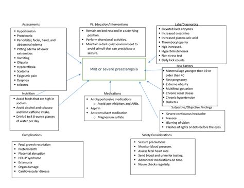 Map 4 Concept Map Assessments Pt Education Interventions Labs Diagnostics Risk Factors