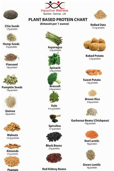 plant based protein sources chart - Keski