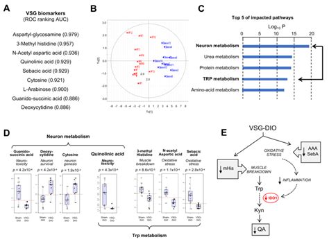 Metabolite Biomarkers In Plasma From The Sham Operated Obese Mice