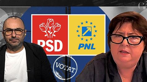 Alina Mungiu Pippidi Trebuie S Avem Coali Ia Psd Pnl Avem Nevoie De