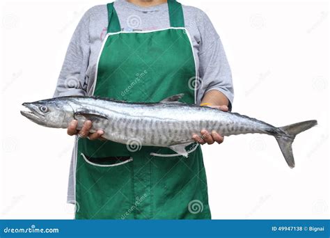 King Mackerel Steak On Wood Background Fried Fish Royalty Free Stock