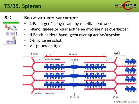 T2 Voeding En Vertering B1 Voedingsmiddelen En Voedingsstoffen B2