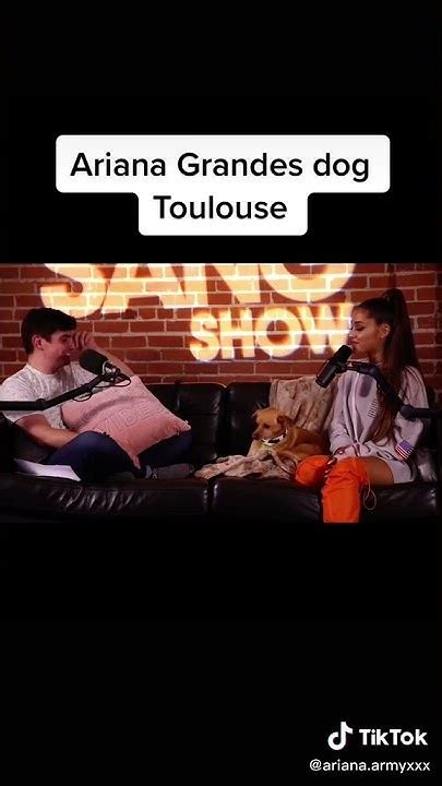 Ariana Grandes Dog Toulouse Youtube