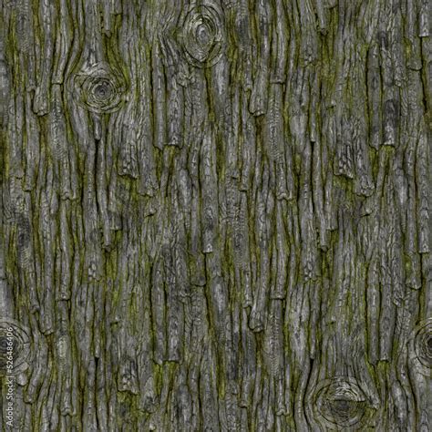 Realistic tree bark with moss seamless rendered texture background ...