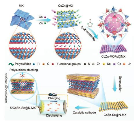 Aem：mofmxene自组装异质结，促进多硫化锂转化反应 知乎