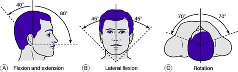 Cervical Spine Range Of Motion Chart