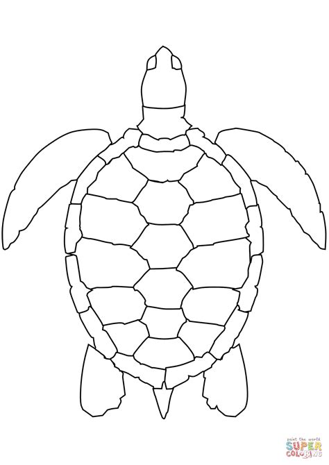 Sea Turtle Coloring Page Free Printable Coloring Pages