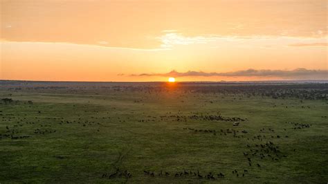 Little Black Book of safari sundowners in Africa | Ker Downey Africa