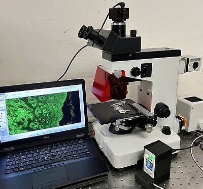 Leica Wild Leitz Fluovert Fu Ivfl Led Fluoro Ph Inverted Microscope Mp