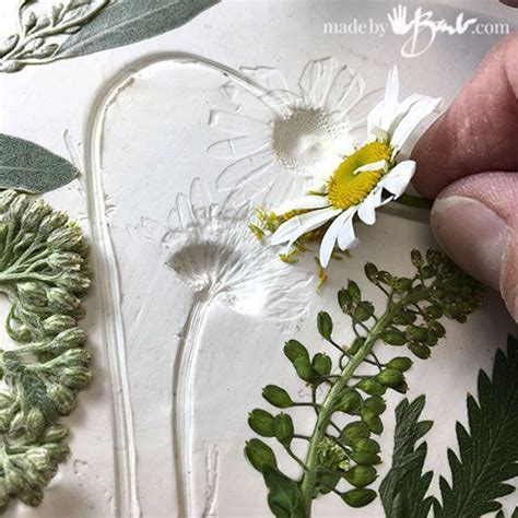 Botanical Relief Casting In Plaster Botanical Wall Decor Plaster