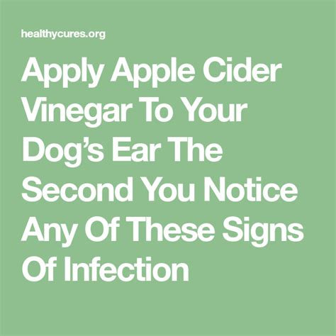 How To Make Vinegar Ear Drops At Anthony Krout Blog