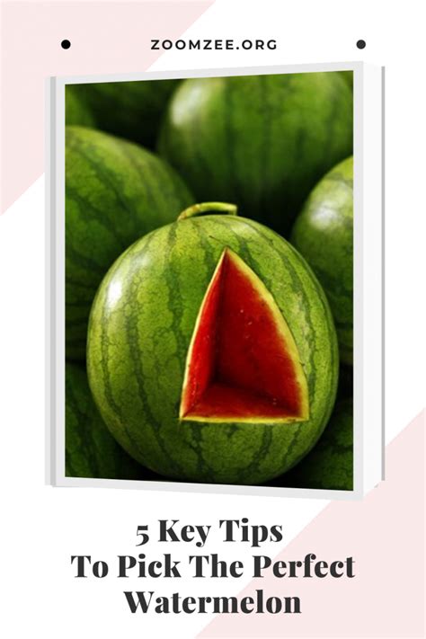 5 Key Tips To Pick The Perfect Watermelon Watermelon Picking Watermelon Tips