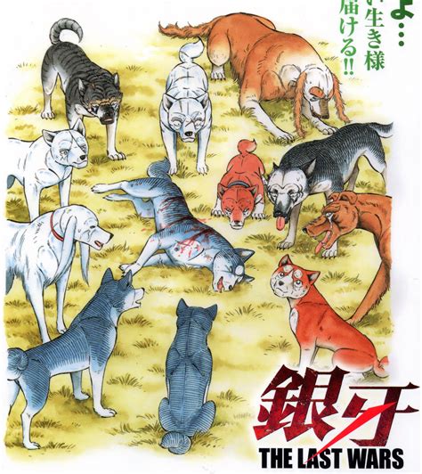 Ginga Nagareboshi Gin Image By Yoshihiro Takahashi 4236603 Zerochan