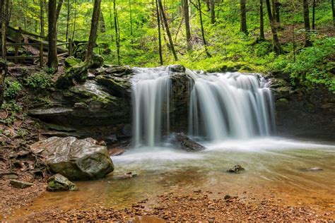 Frozen Head State Park In Wartburg, TN | America's State Parks