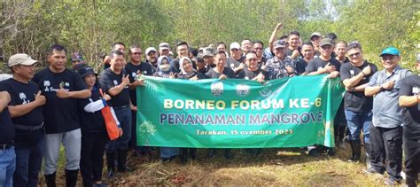 Kurangi Emisi Karbon Gapki Tanam Mangrove Target Ribu Batang