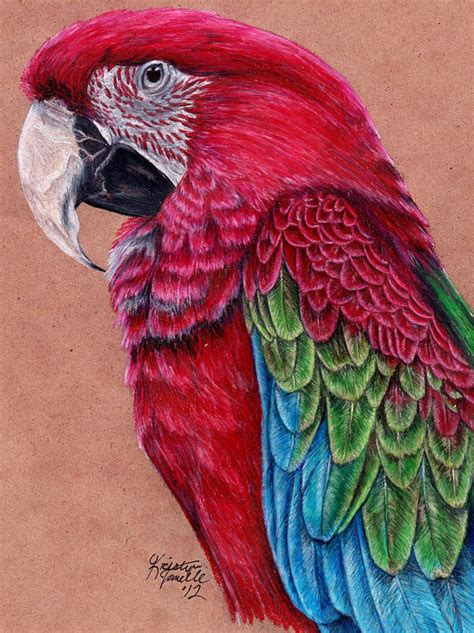 Commission Green Winged Macaw By Kristynjanelle On Deviantart Bird