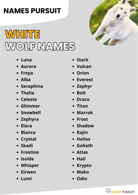 490+ White Wolf Names [Mythical, Cool, & Cute Ideas]