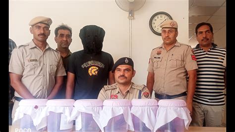 Moga Teen Caught With Six Pistols In Panchkula Hindustan Times