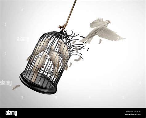 Breaking Boundaries And Freedom Concept As A Bird Escaping A Cage With