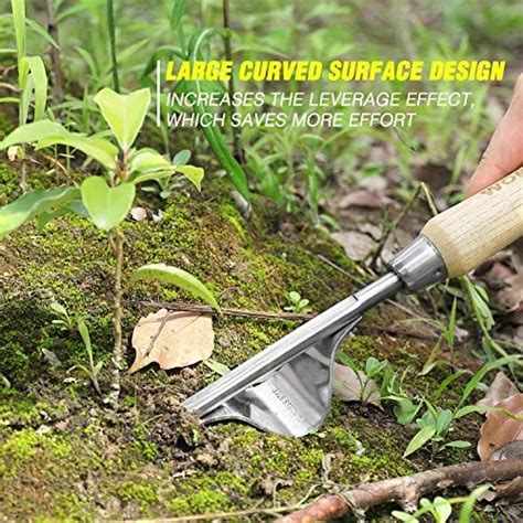 Kit Outils De Jardin Workpro L Essentiel Pour Votre Jardin