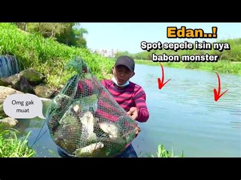 Edan Mancing Di Spot Baru Sarang Ikan Nila Babon Liar Semua Youtube