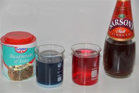 How to make a red cabbage pH indicator - Chemistry for Kids