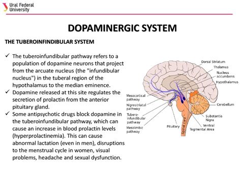 Neurotransmitter Systems Online Presentation