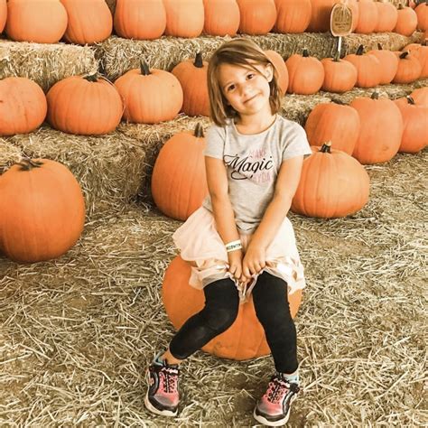 Best Pumpkin Farms Near Me — Top Pumpkin Farms Near Me To Visit In 2021