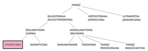 Podstawy Psychologii Flashcards Quizlet