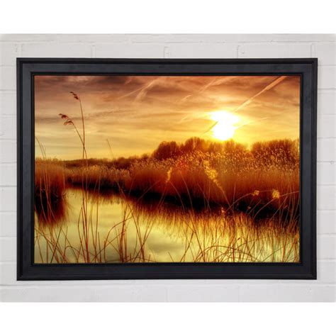 Ebern Designs Sonnenuntergang Im Bieslandse Wald Druck Wayfair De