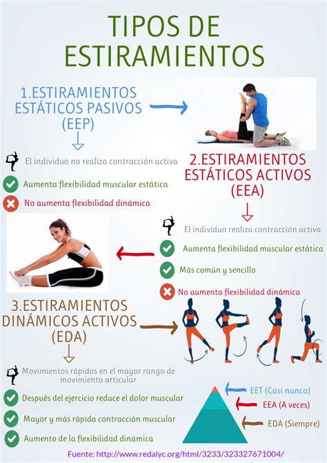 Tipos De Estiramiento Flexibilidad Muscular Flexibilidad Dinamica