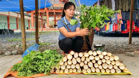 Harvest Giant Bamboo Shoots Green Vegetables Bring Them To The Market To Sell Trieu Thi Senh