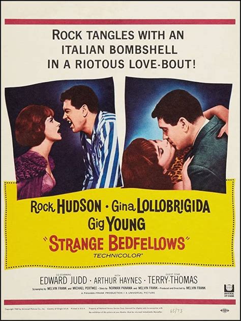 Strange Bedfellows 1965 Great Movies