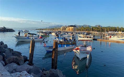 Ya Viene El Torneo De Pesca Halcones Al Mar En Loreto El