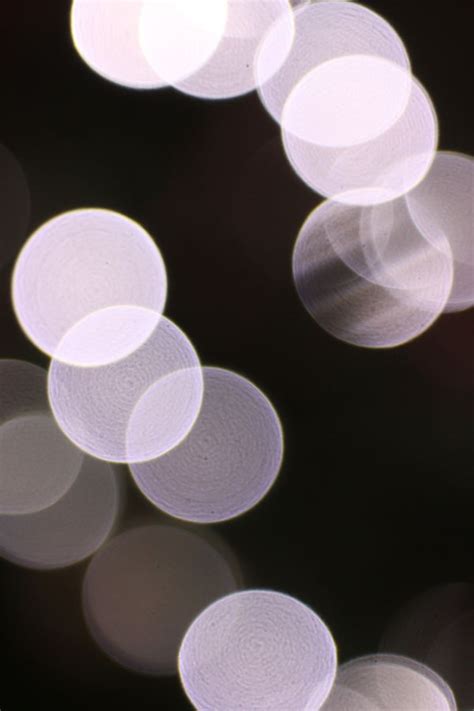 Free Images Bokeh White Flower Petal Ceiling Lens Lighting