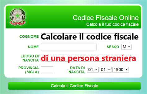 Calcolare Il Codice Fiscale Per Stranieri Procedura E Video