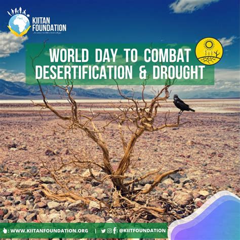 World Day To Combat Desertification And Drought Kiitan Foundation