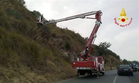 Scompare Tra Le Campagne Di Cessaniti Trovato Morto In Una Scarpata