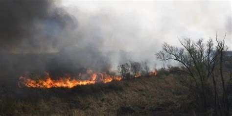 Ocho Provincias Registran Focos Activos De Incendios Forestales Filo News