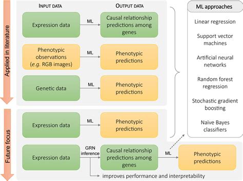 Frontiers Gene Regulatory Network Inference Connecting Plant Biology