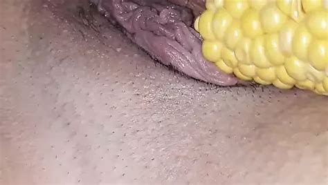 Bbw Pussy XHamster