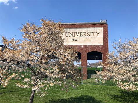 Cherry Blossoms At Ohio University Ohio University